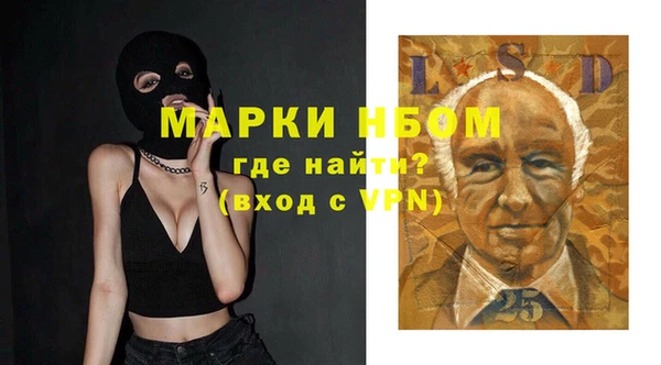 apvp Ельня