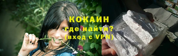 тгк Елизово