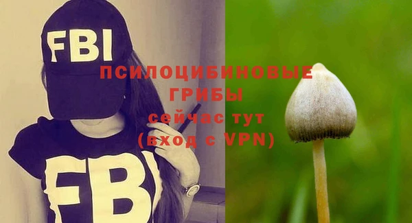 винт Елабуга