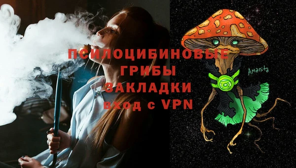 apvp Ельня