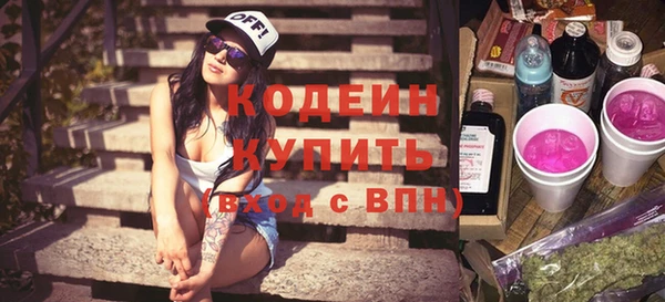 apvp Ельня