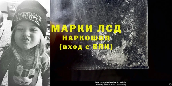 apvp Ельня
