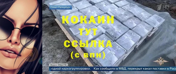 тгк Елизово